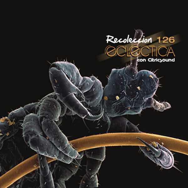 Recolección Ecléctica 126