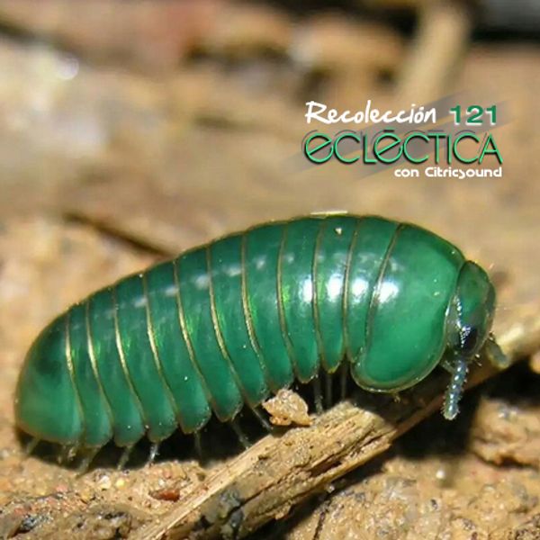 Recolección Ecléctica 121