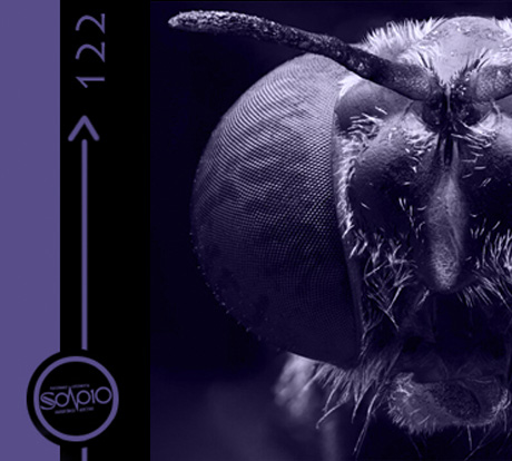 Recolección Ecléctica 122