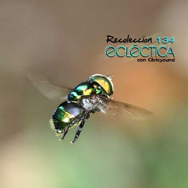 Recolección Ecléctica 134
