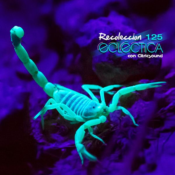 Recolección Ecléctica 125